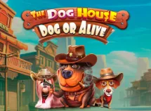 The Dog House - Dog or Alive